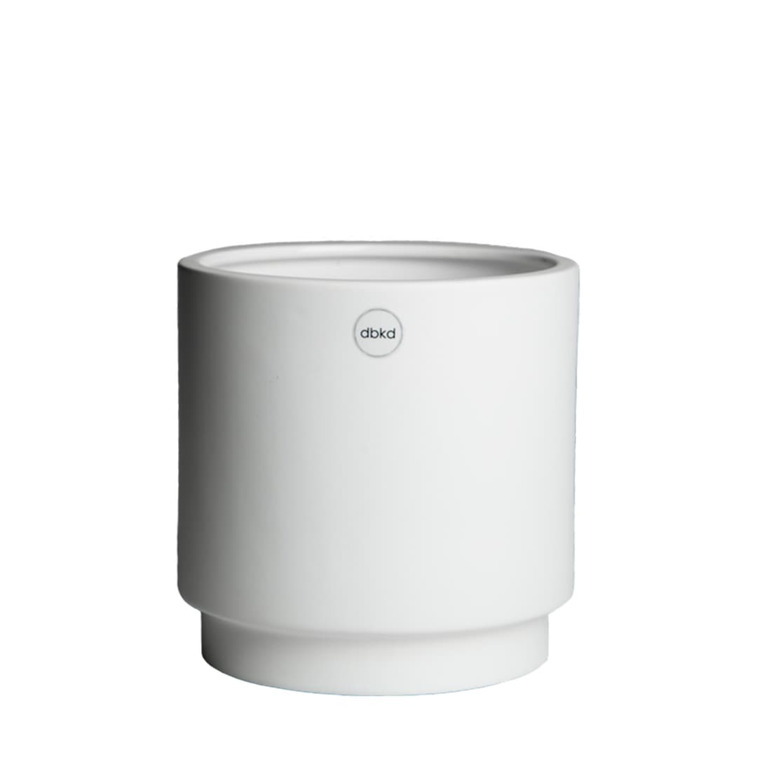 Solid Kruka White Medium