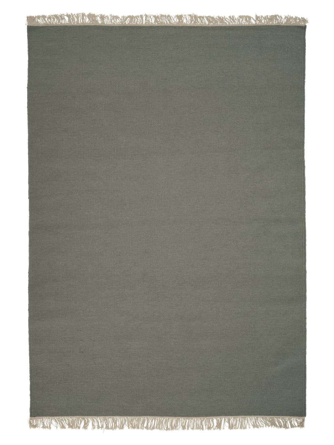 Rainbow Ullmatta Cactus 200x300