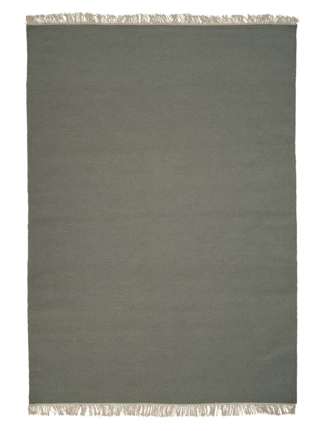 Rainbow Ullmatta Cactus 200x300